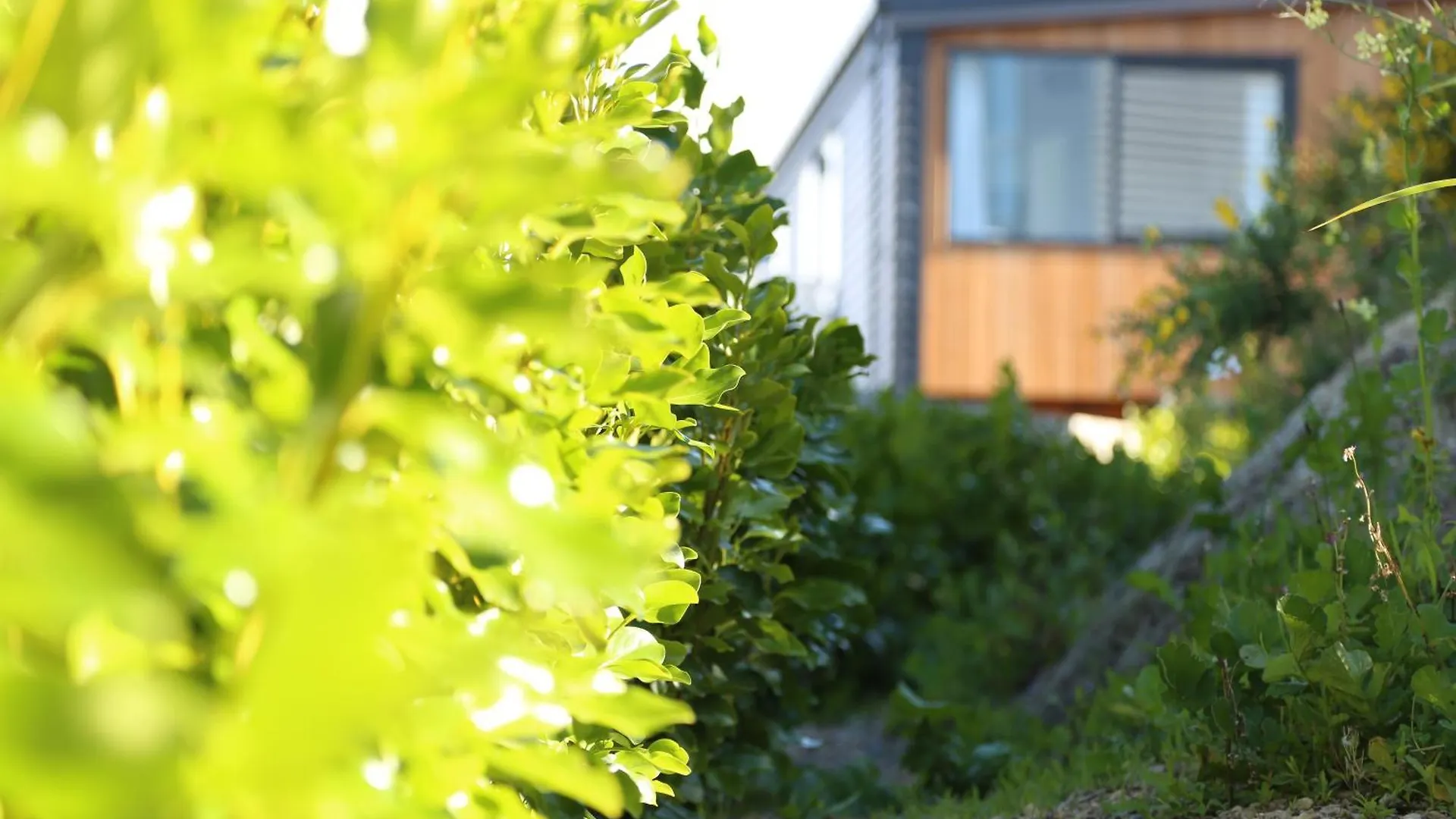 Villa Skyline Vista - Entirely New House With Luxe Views, Espresso, Netflix & Free Parking Wellington Сasa de vacaciones